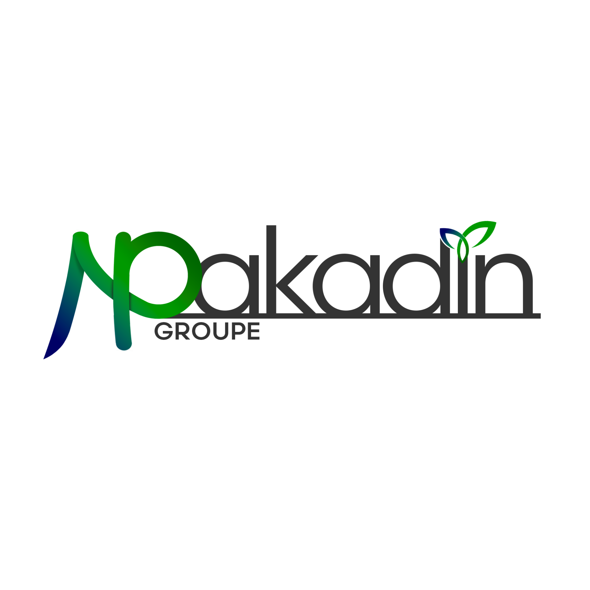 NP Akadin